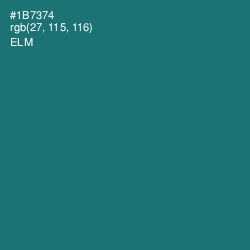 #1B7374 - Elm Color Image