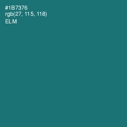 #1B7376 - Elm Color Image