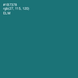 #1B7378 - Elm Color Image