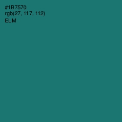 #1B7570 - Elm Color Image