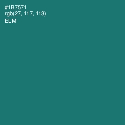 #1B7571 - Elm Color Image