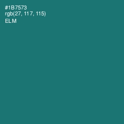 #1B7573 - Elm Color Image