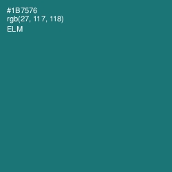 #1B7576 - Elm Color Image
