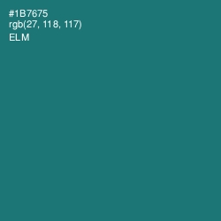 #1B7675 - Elm Color Image