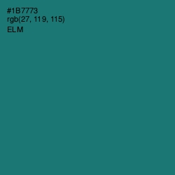 #1B7773 - Elm Color Image