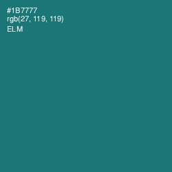 #1B7777 - Elm Color Image