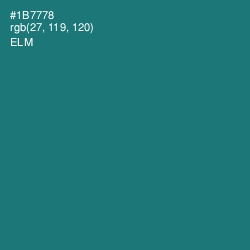 #1B7778 - Elm Color Image