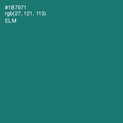 #1B7971 - Elm Color Image