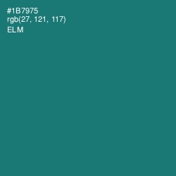 #1B7975 - Elm Color Image