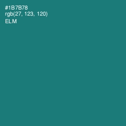 #1B7B78 - Elm Color Image