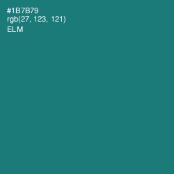 #1B7B79 - Elm Color Image