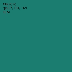 #1B7C70 - Elm Color Image