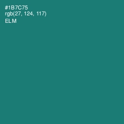 #1B7C75 - Elm Color Image