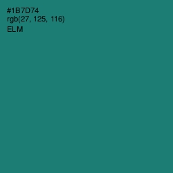 #1B7D74 - Elm Color Image