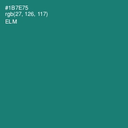 #1B7E75 - Elm Color Image