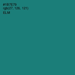 #1B7E79 - Elm Color Image