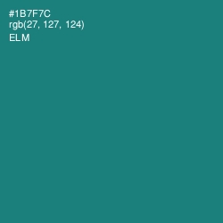 #1B7F7C - Elm Color Image