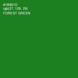 #1B801D - Forest Green Color Image
