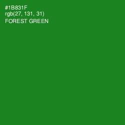 #1B831F - Forest Green Color Image