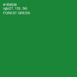 #1B8538 - Forest Green Color Image