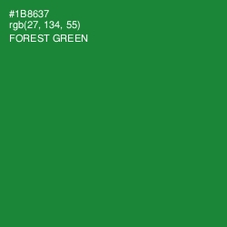 #1B8637 - Forest Green Color Image