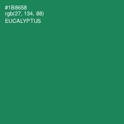 #1B8658 - Eucalyptus Color Image