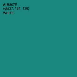 #1B867E - Elf Green Color Image