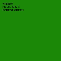 #1B8807 - Forest Green Color Image