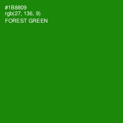 #1B8809 - Forest Green Color Image