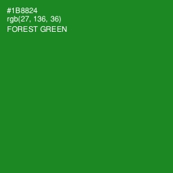 #1B8824 - Forest Green Color Image