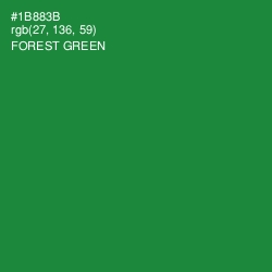#1B883B - Forest Green Color Image