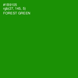 #1B9105 - Forest Green Color Image