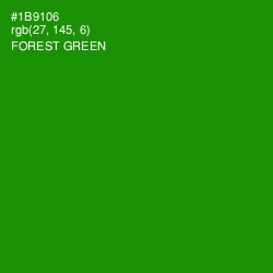 #1B9106 - Forest Green Color Image