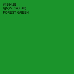 #1B942B - Forest Green Color Image