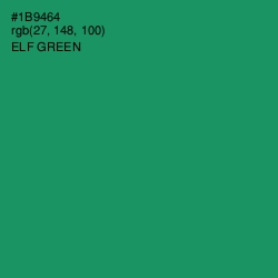 #1B9464 - Elf Green Color Image