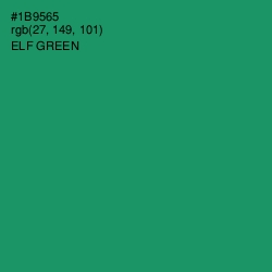 #1B9565 - Elf Green Color Image