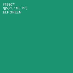 #1B9571 - Elf Green Color Image