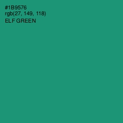 #1B9576 - Elf Green Color Image