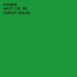 #1B983A - Forest Green Color Image