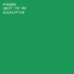 #1B9856 - Eucalyptus Color Image