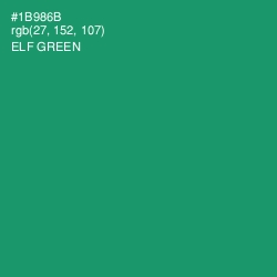 #1B986B - Elf Green Color Image