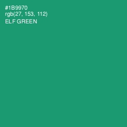 #1B9970 - Elf Green Color Image