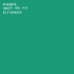 #1B9B75 - Elf Green Color Image