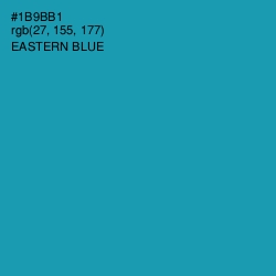 #1B9BB1 - Eastern Blue Color Image