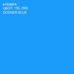 #1B9BFA - Dodger Blue Color Image