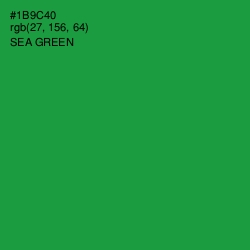 #1B9C40 - Sea Green Color Image