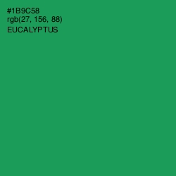 #1B9C58 - Eucalyptus Color Image