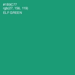 #1B9C77 - Elf Green Color Image