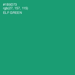 #1B9D73 - Elf Green Color Image