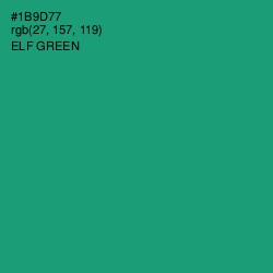 #1B9D77 - Elf Green Color Image